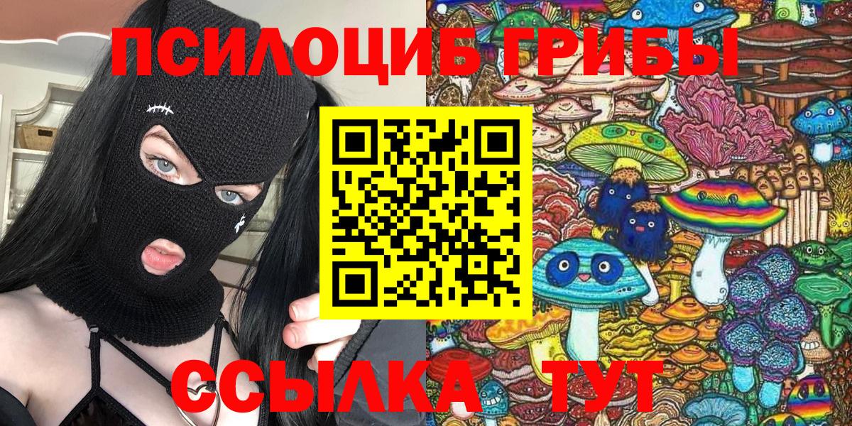 Псилоцибиновые грибы Psilocybine cubensis Энгельс
