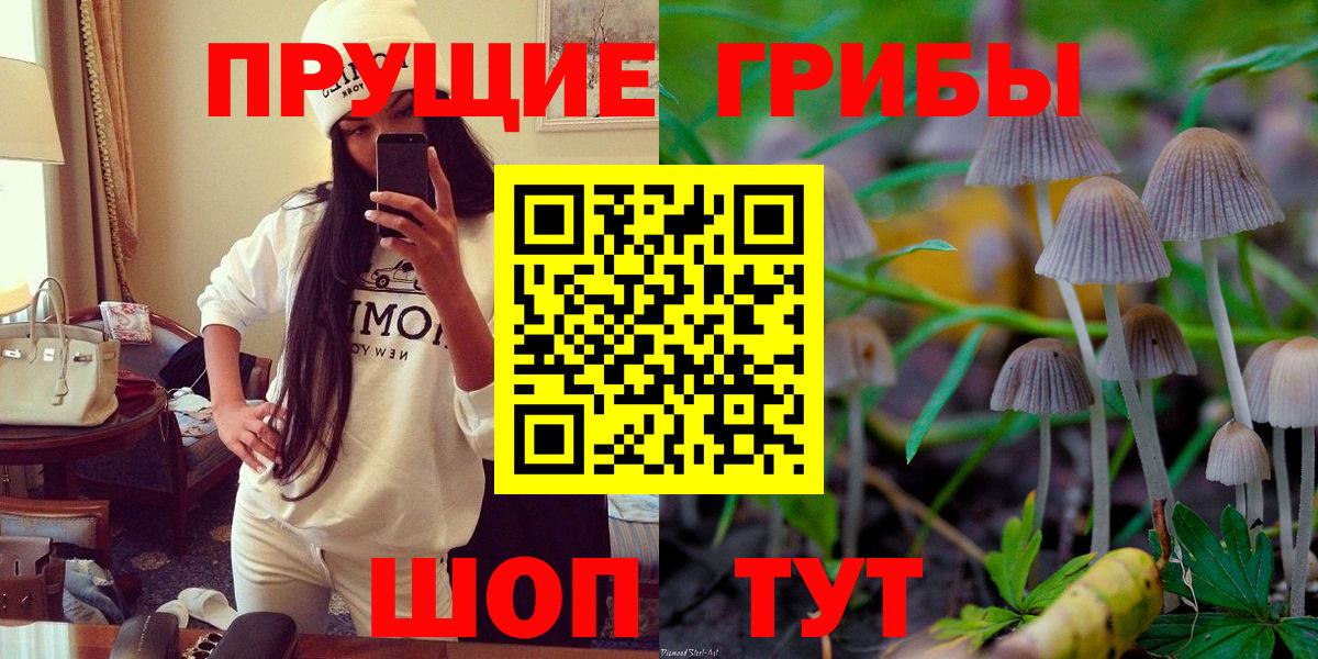 Энгельс  Псилоцибиновые грибы GOLDEN TEACHER  Вход с VPN 